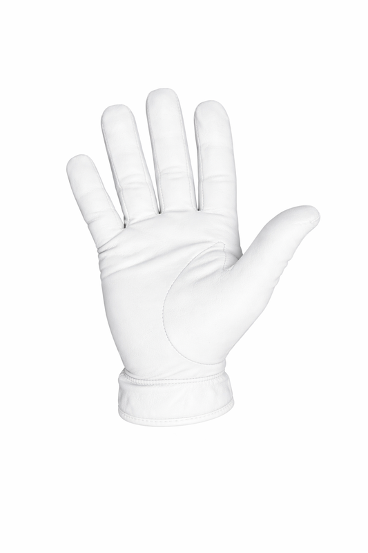 AlphaGrip Pro Series (Right Hand)